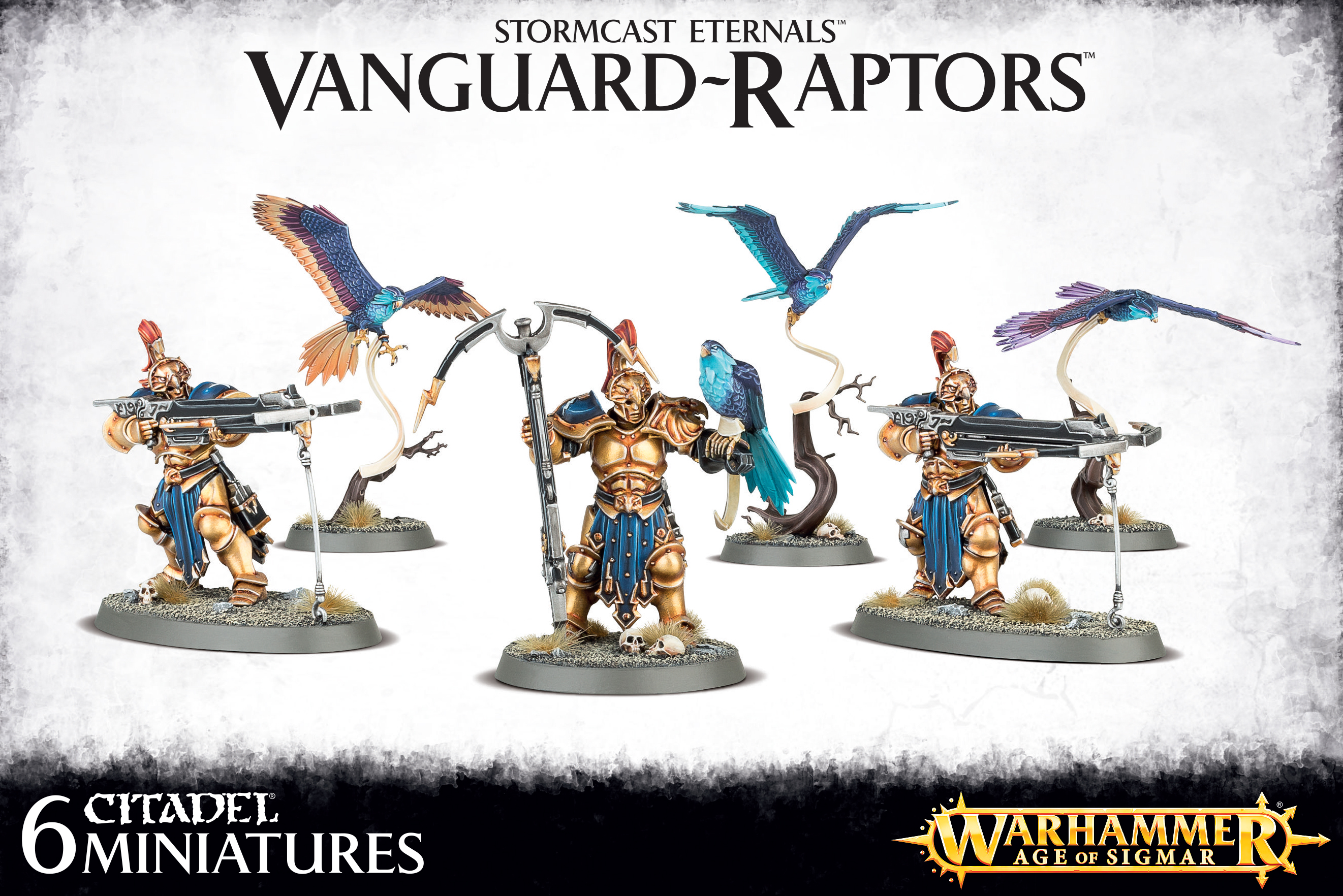 Vanguard Raptors